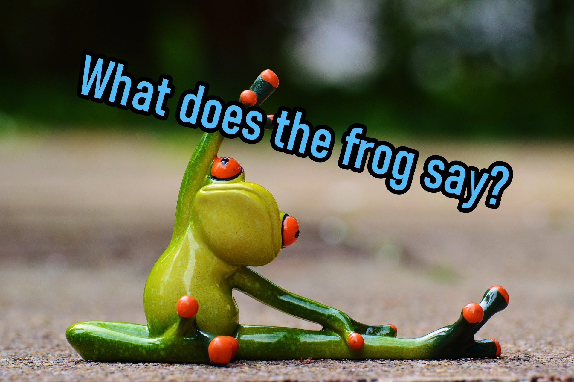 What Does The Frog Say Ayuciel 